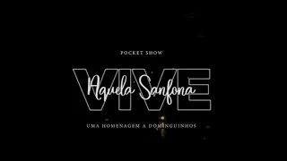 Pocket Show - Aquela Sanfona Vive - Uma homenagem a Dominguinhos