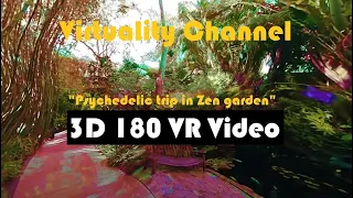 180 VR - Psychedelic trip in Zen garden - 4K _ Thrillseekers, Travel, Storytelling