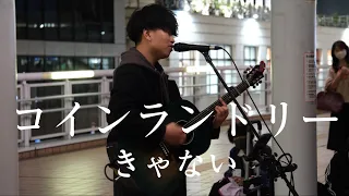 【4K】コインランドリー/きゃない 海老名路上ライブ 高画質・高音質 2024/03/17