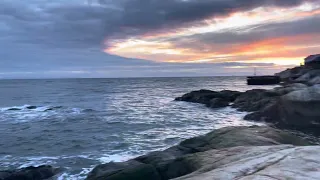 Sea Lion interrupts Vancouver Sunset