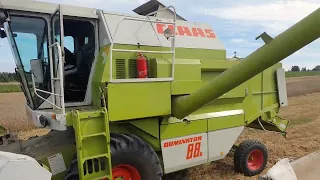 Żniwa 2022! Claas Dominator 88s 💚