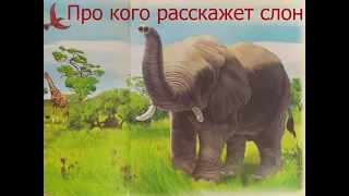 "Про кого расскажет слон" И. Гурина (часть 1)