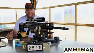 PPU 308 Match Line Ammunition: Remington 700: Scar17s