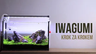 Male akvárium pro krevetky / Jak založit akvárium IWAGUMI