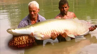 The BIGGEST Arapaima Jeremy Wade Has EVER Caught | ARAPAIMA | River Monsters