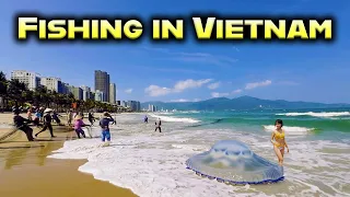 Beach Fishing & Giant Jellyfish in Vietnam 🇻🇳 Seine Net Fishing