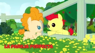 MLP:FIM Temporada 7 capitulo 13 'La Pareja Perfecta' [Español Latino]