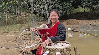 17 Year Old Single Mother Harvest Duck Eggs - Cleaning The Farm