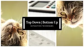 Top Down and Bottom Up Estimating Techniques