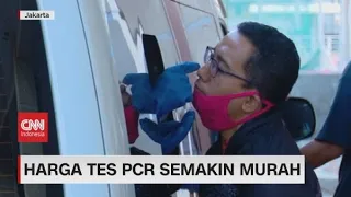 Harga Tes PCR Semakin Murah