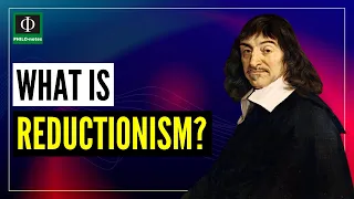 What is Reductionism?