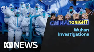 Did COVID-19 originate from a Wuhan wet market or a Chinese lab? | China Tonight | ABC News