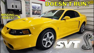 NEW PROJECT: I Bought A 2000s Muscle Car ICON - 2004 Mustang SVT Cobra TERMINATOR!!