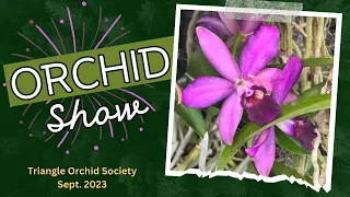 Orchid Show/Triangle Orchid Society/Fall for Orchids/Sept. 2023