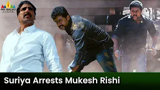 Suriya Arrests Mukesh Rishi | Singam | Anushka | Telugu Movie Scenes @SriBalajiMovies