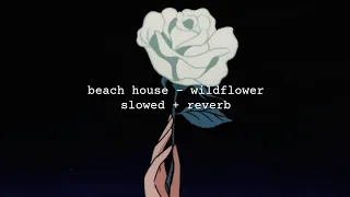 beach house - wildflower (slowed and reverb)