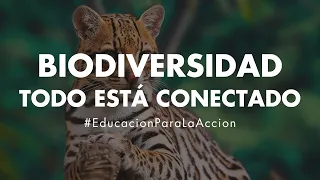 Todo está conectado | Biodiversidad | Educación Ambiental Digital