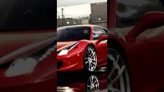 YALILI|FERRARI|DKV CAR SHORTS