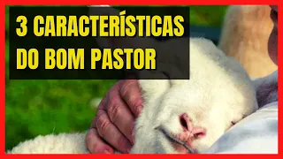 Jesus o Bom Pastor Estudo de {3 Características} Marcantes