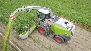 Claas Jaguar 980 | 12 rangs | Biggest Claas Forage Harvester | ETA Letouzey