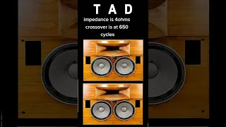 $24,000.00 Pioneer TAD TSM 1 most expensive best audio speakers #speaker #speakers #audio #stereo #h