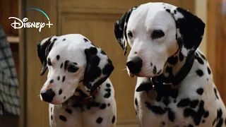 The Puppies get their Collars – 101 Dalmatians (HD Movie Clip)