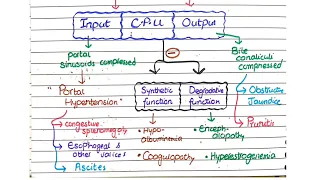 Chronic Liver Disease | Clinical features