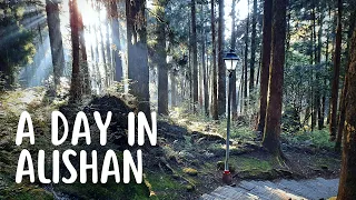 Exploring Alishan - Taiwan's Greatest National Park!