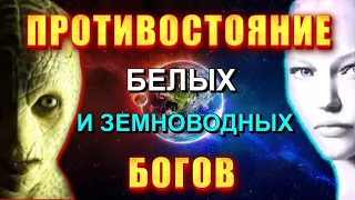 Противостояние БЕЛЫХ и ЗЕМНОВОДНЫХ БОГОВ 🔥