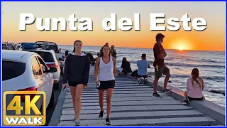 【4K】WALK Port Punta del Este URUGUAY 4K video UY Travel vlog