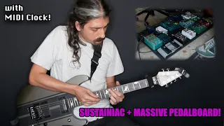 CHILL SONG with: SUSTAINIAC pickup and a MASSIVE CRAZY pedalboard (Red Panda, Zzombee, CBA...)
