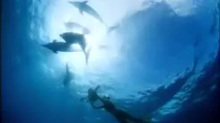 DOLPHINS Official IMAX Trailer   Music by Sting