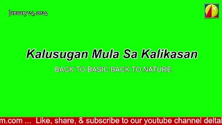 DWXI 1314 AM Live Streaming (Wednesday - January 24, 2024) #kalusuganmulasakalikasan