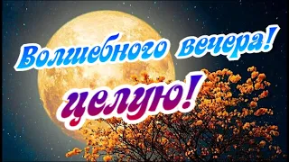 Снова я мечтаю о тебе...Вечерняя романтика