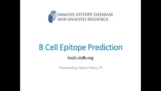 2019 User Workshop – 2.5 – B Cell Epitope Prediction