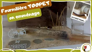 Fourmilière Toopet - on emménage !!