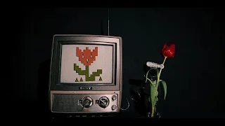 Madilyn Mei - Garden Jargon (Official Music Video)