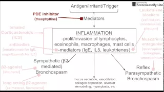 Drugs for Asthma Treatment