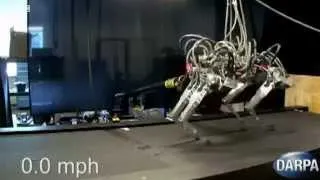 Cheetah robot runs faster than Usain Bolt_ syam