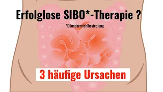 SIBO (Dünndarmfehlbesiedlung)-Therapie ohne Erfolg -  mein ärztliche Empfehlung