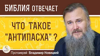 Что такое АНТИПАСХА ?  Протоиерей Владимир Новицкий