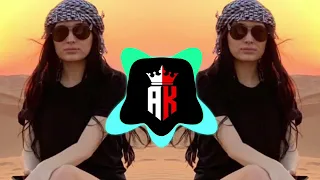 Arabic Remix Traning Songs 2024 | TikTok Viral Song | Remix Music | Ak Bossted Song | Arabic Music