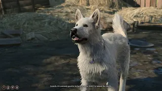 All companions’ reactions when Scratch is too tired to fetch his ball (New)