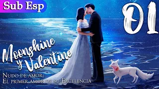 【Sub Español】Nudo de amor: El primer amor de su Excelencia 01 |  Moonshine and Valentine丨结爱·千岁大人的初恋