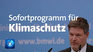 Habeck will umfassende Sofortmaßnahmen für mehr Klimaschutz