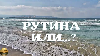 Наша жизнь в Израиле. Рутина или...?