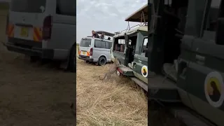 A tourist was filmed playing with a leopard at Masai Mara Game Reserve