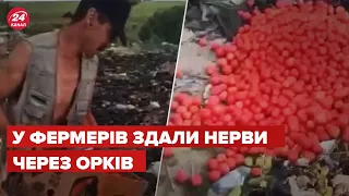 🤬 Фермерів на Запоріжжі змусили викинути тонни продуктів