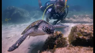 Byron Bay Dive with Katie K.