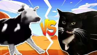 Polish cow VS Maxwell The Cat